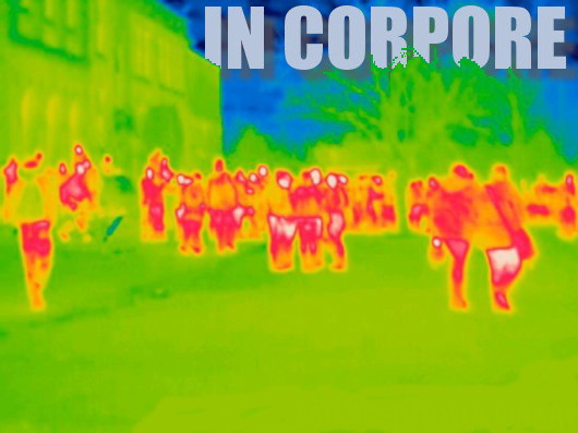 thermopicture of humans